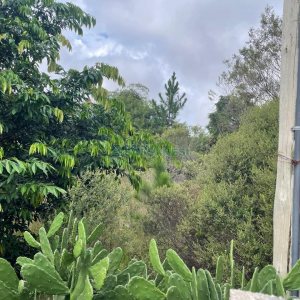 Terreno com 670m², no bairro Salgado Filho em Caxias do Sul para Comprar