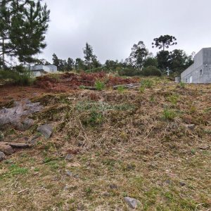 Terreno com 562m², no bairro São Virgílio em Caxias do Sul para Comprar