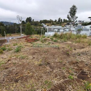 Terreno com 562m², no bairro São Virgílio em Caxias do Sul para Comprar