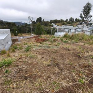 Terreno com 562m², no bairro São Virgílio em Caxias do Sul para Comprar