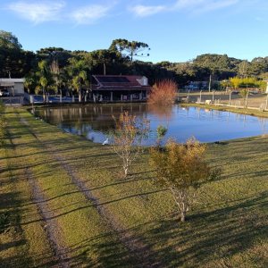 Chácara com 120m², 3 dormitórios, 1 vaga, no bairro Vila Seca em Caxias do Sul para Comprar