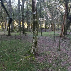 Chácara com 120m², 3 dormitórios, 1 vaga, no bairro Vila Seca em Caxias do Sul para Comprar