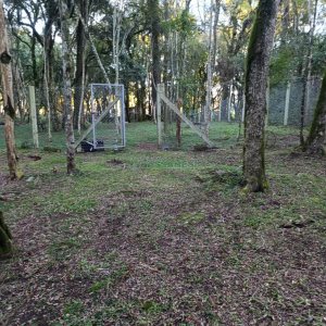 Chácara com 120m², 3 dormitórios, 1 vaga, no bairro Vila Seca em Caxias do Sul para Comprar