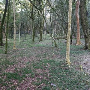 Chácara com 120m², 3 dormitórios, 1 vaga, no bairro Vila Seca em Caxias do Sul para Comprar