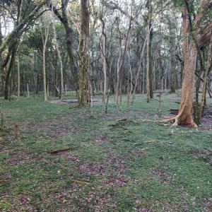 Chácara com 120m², 3 dormitórios, 1 vaga, no bairro Vila Seca em Caxias do Sul para Comprar