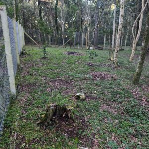 Chácara com 120m², 3 dormitórios, 1 vaga, no bairro Vila Seca em Caxias do Sul para Comprar