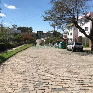 Apartamento com 48m², 1 dormitório, no bairro Petrópolis em Caxias do Sul para Alugar