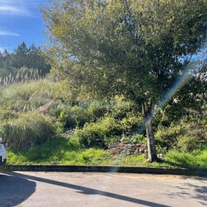 Terreno com 300m², no bairro Nossa Senhora da Conceição em Caxias do Sul para Comprar