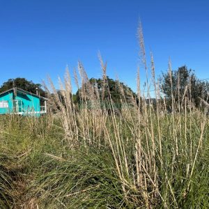 Terreno com 300m², no bairro Nossa Senhora da Conceição em Caxias do Sul para Comprar