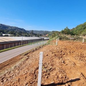 Terreno com 5455m², no bairro Maestra em Caxias do Sul para Comprar