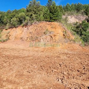 Terreno com 5455m², no bairro Maestra em Caxias do Sul para Comprar