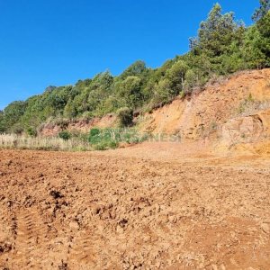 Terreno com 5455m², no bairro Maestra em Caxias do Sul para Comprar