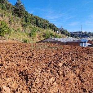 Terreno com 5455m², no bairro Maestra em Caxias do Sul para Comprar