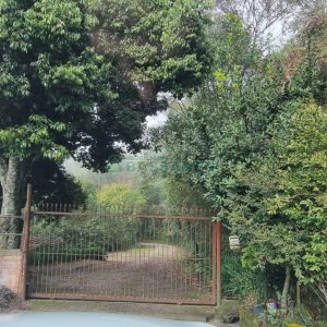 Chácara com 200m², 3 dormitórios, 1 vaga, no bairro Ana Rech em Caxias do Sul para Comprar