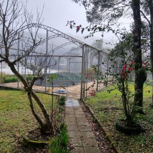 Chácara com 200m², 3 dormitórios, 1 vaga, no bairro Ana Rech em Caxias do Sul para Comprar