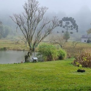 Chácara com 200m², 3 dormitórios, 1 vaga, no bairro Ana Rech em Caxias do Sul para Comprar