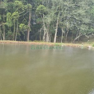 Chácara com 200m², 3 dormitórios, 1 vaga, no bairro Ana Rech em Caxias do Sul para Comprar