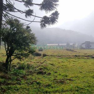 Chácara com 200m², 3 dormitórios, 1 vaga, no bairro Ana Rech em Caxias do Sul para Comprar
