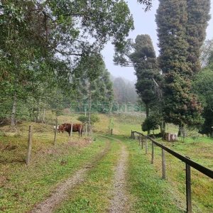 Chácara com 200m², 3 dormitórios, 1 vaga, no bairro Ana Rech em Caxias do Sul para Comprar