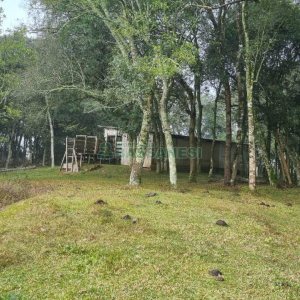 Chácara com 200m², 3 dormitórios, 1 vaga, no bairro Ana Rech em Caxias do Sul para Comprar