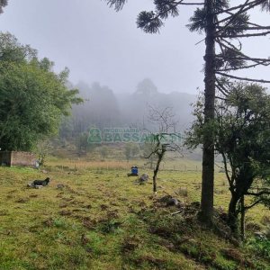 Chácara com 200m², 3 dormitórios, 1 vaga, no bairro Ana Rech em Caxias do Sul para Comprar