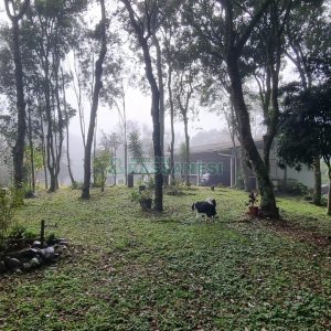 Chácara com 200m², 3 dormitórios, 1 vaga, no bairro Ana Rech em Caxias do Sul para Comprar