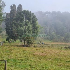 Chácara com 200m², 3 dormitórios, 1 vaga, no bairro Ana Rech em Caxias do Sul para Comprar