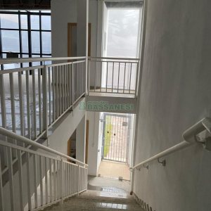Pavilhão com 346m², no bairro Diamantino em Caxias do Sul para Alugar