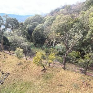 Casa com 400m², 2 dormitórios, 2 vagas, no bairro Ana Rech em Caxias do Sul para Alugar