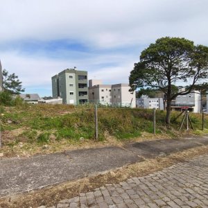 Terreno com 360m², no bairro São Luiz em Caxias do Sul para Comprar
