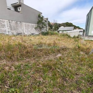 Terreno com 360m², no bairro São Luiz em Caxias do Sul para Comprar