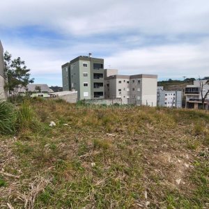 Terreno com 360m², no bairro São Luiz em Caxias do Sul para Comprar
