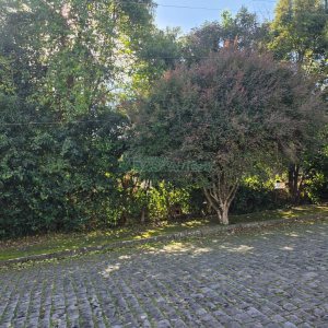 Terreno com 801m², no bairro Cinqüentenário em Caxias do Sul para Comprar