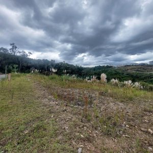 Terreno, no bairro São Giácomo em Caxias do Sul para Comprar