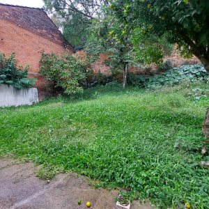 Casa com 220m², 4 dormitórios, 5 vagas, no bairro Panazzolo em Caxias do Sul para Comprar