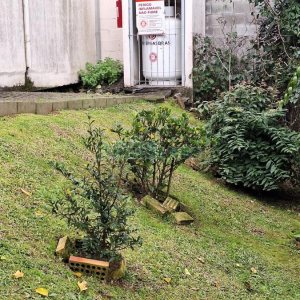 Casa com 428m², 5 dormitórios, 3 vagas, no bairro Petrópolis em Caxias do Sul para Comprar