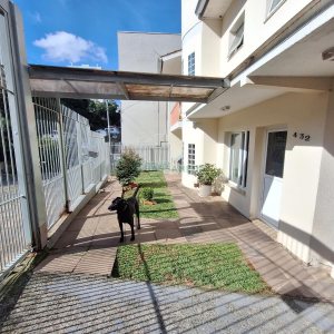 Casa com 428m², 5 dormitórios, 3 vagas, no bairro Petrópolis em Caxias do Sul para Comprar