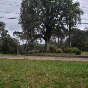 Terreno com 1091m², no bairro Monte Bérico em Caxias do Sul para Comprar
