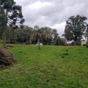 Terreno com 1091m², no bairro Monte Bérico em Caxias do Sul para Comprar