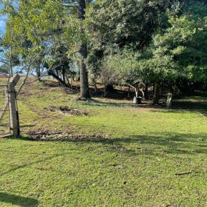 Casa Mobiliada com 300m², 3 dormitórios, 1 vaga, no bairro Vila Seca em Caxias do Sul para Alugar