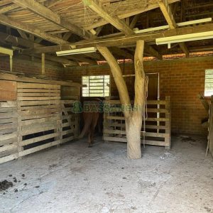 Casa Mobiliada com 300m², 3 dormitórios, 1 vaga, no bairro Vila Seca em Caxias do Sul para Alugar