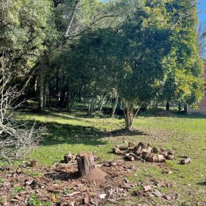 Casa Mobiliada com 300m², 3 dormitórios, 1 vaga, no bairro Vila Seca em Caxias do Sul para Alugar