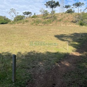 Casa Mobiliada com 300m², 3 dormitórios, 1 vaga, no bairro Vila Seca em Caxias do Sul para Alugar