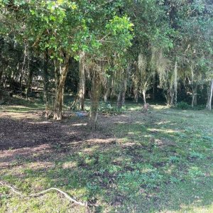Casa Mobiliada com 300m², 3 dormitórios, 1 vaga, no bairro Vila Seca em Caxias do Sul para Alugar