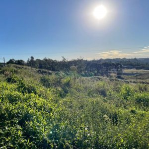 Terreno com 360m², no bairro Monte Bérico em Caxias do Sul para Comprar
