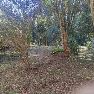 Terreno com 381m², no bairro Santa Corona em Caxias do Sul para Comprar