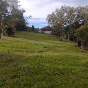 Chácara com 63810m², no bairro Cruzeiro em Caxias do Sul para Comprar