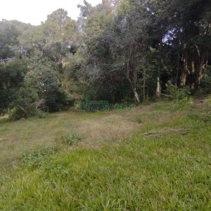 Chácara com 63810m², no bairro Cruzeiro em Caxias do Sul para Comprar