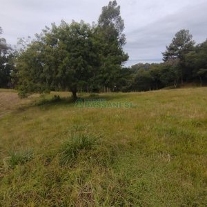 Chácara com 63810m², no bairro Cruzeiro em Caxias do Sul para Comprar