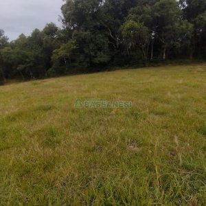 Chácara com 63810m², no bairro Cruzeiro em Caxias do Sul para Comprar
